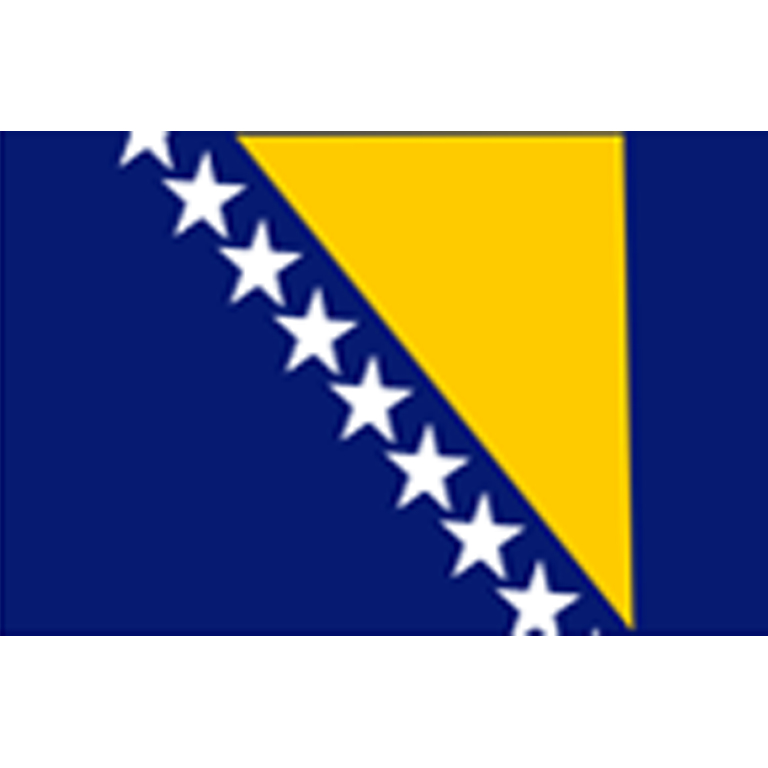 Bosna Hersek Bayrağı