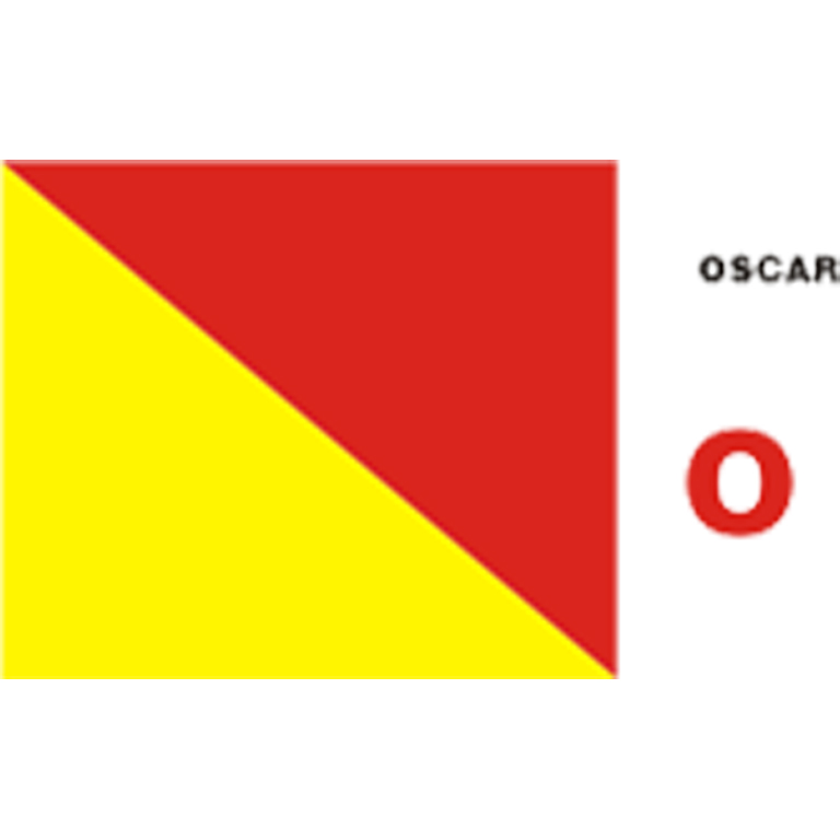 Denize Adam Düştü