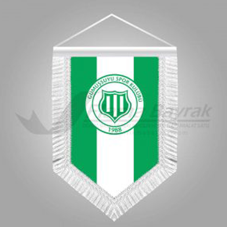 Gümüşsuyu Takdim Flaması