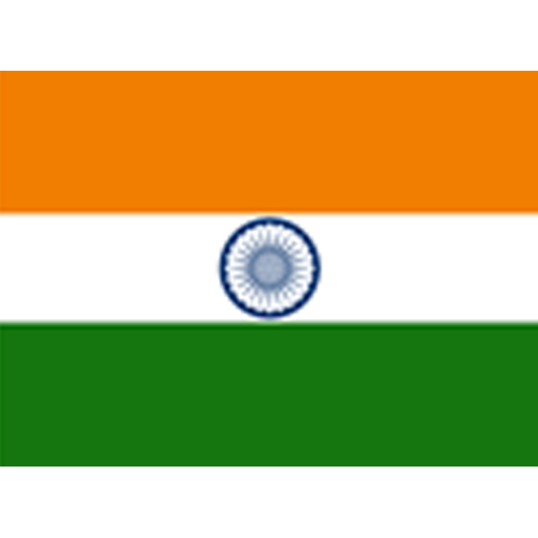 Hindistan Bayrağı
