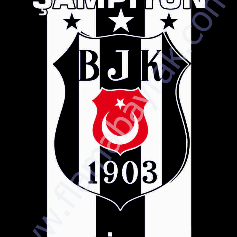 Beşiktaş No 1