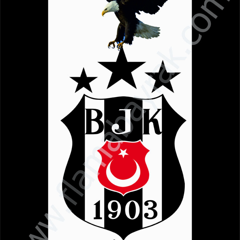 Beşiktaş No 14