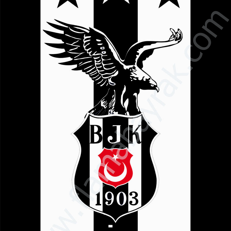 Beşiktaş No 15