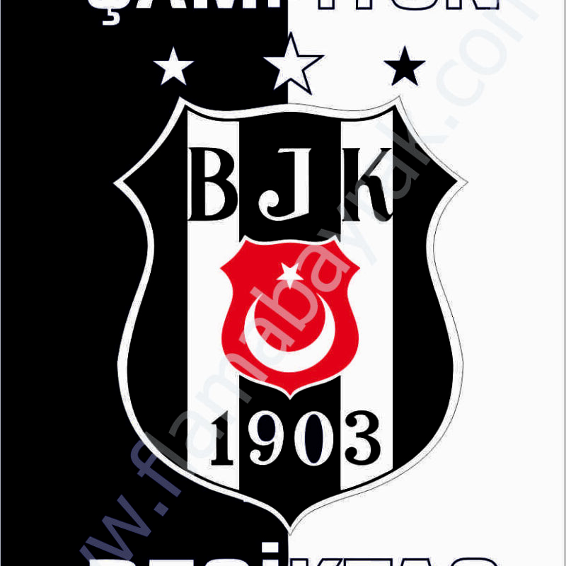 Beşiktaş No 2