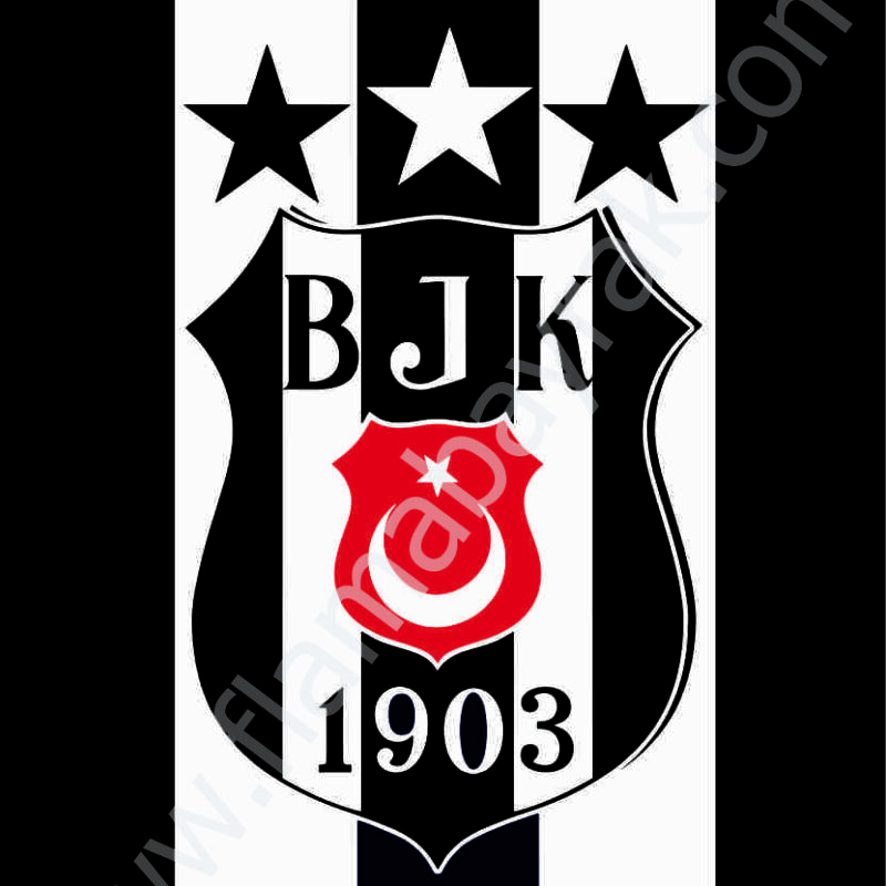 Beşiktaş No 3