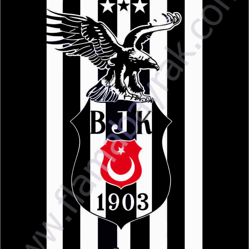 Beşiktaş No 5