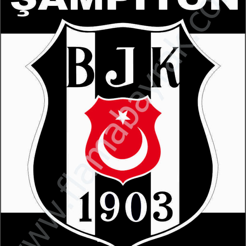 Beşiktaş No 6