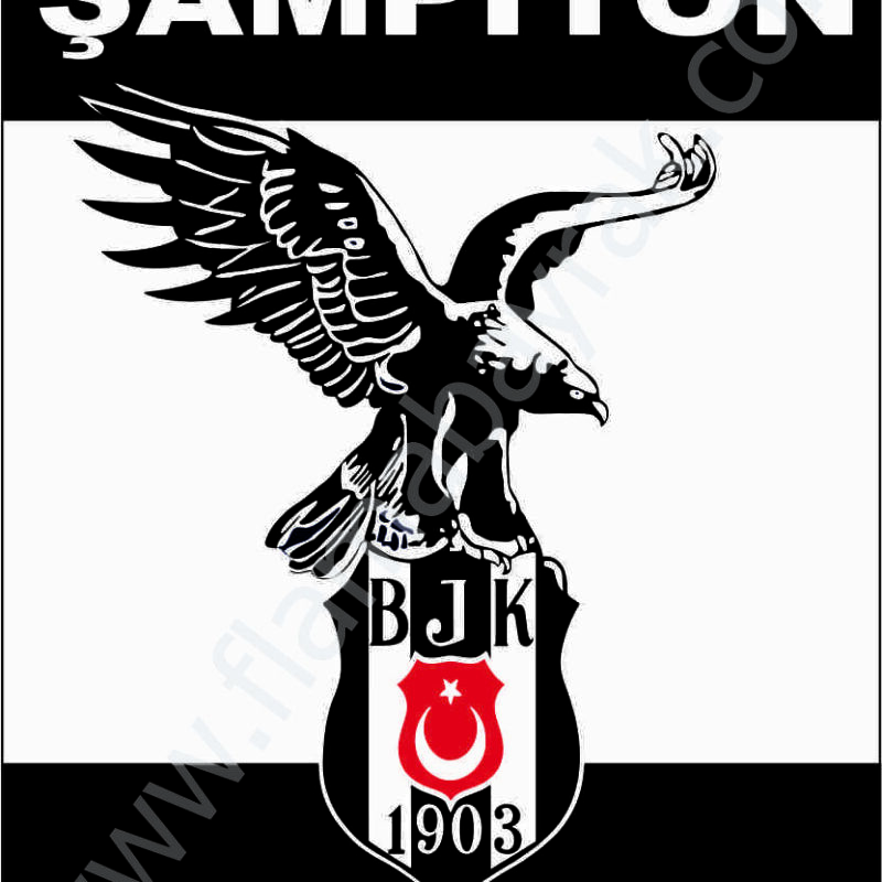 Beşiktaş No 8