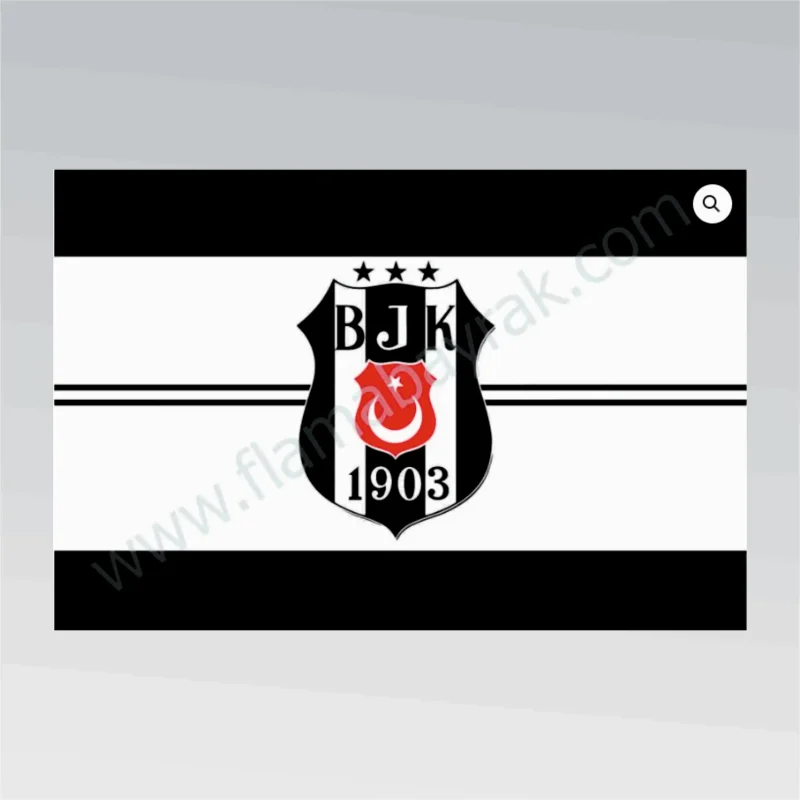 Beşiktaş No 11