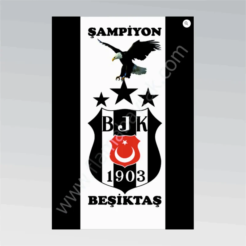 Beşiktaş No 14