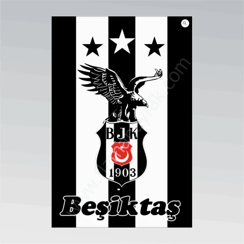 Beşiktaş No 15