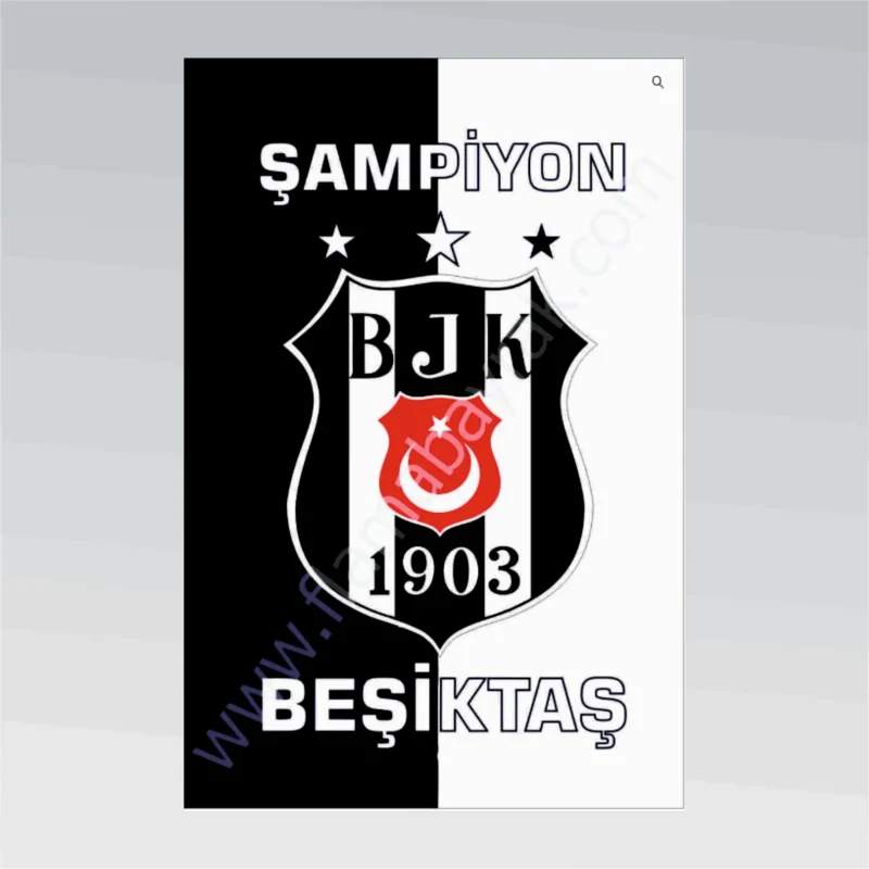 Beşiktaş No 2