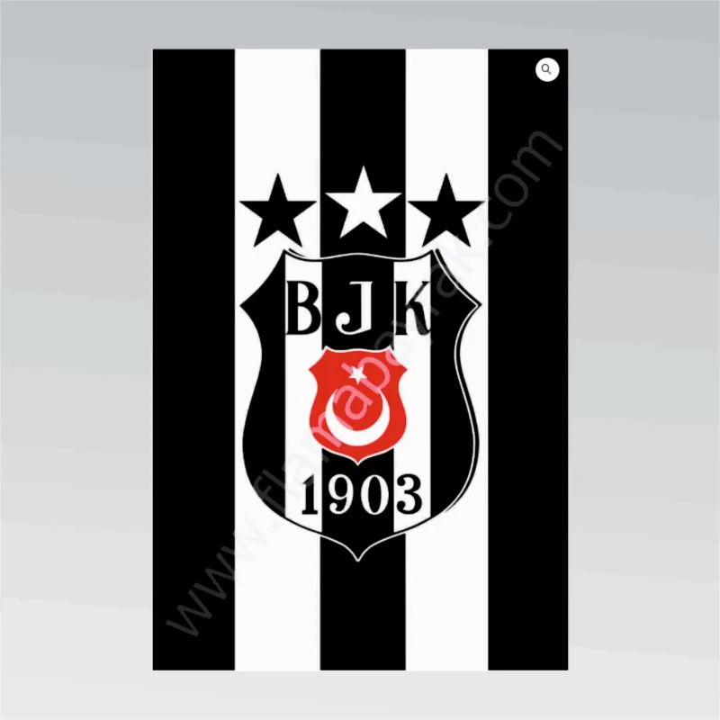Beşiktaş No 3