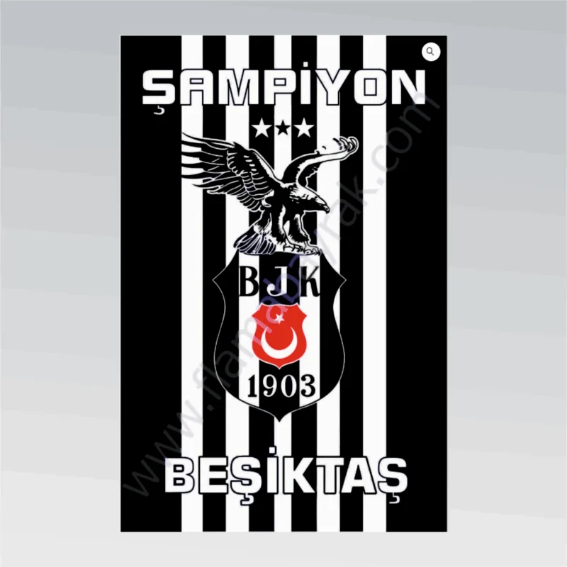 Beşiktaş No 5