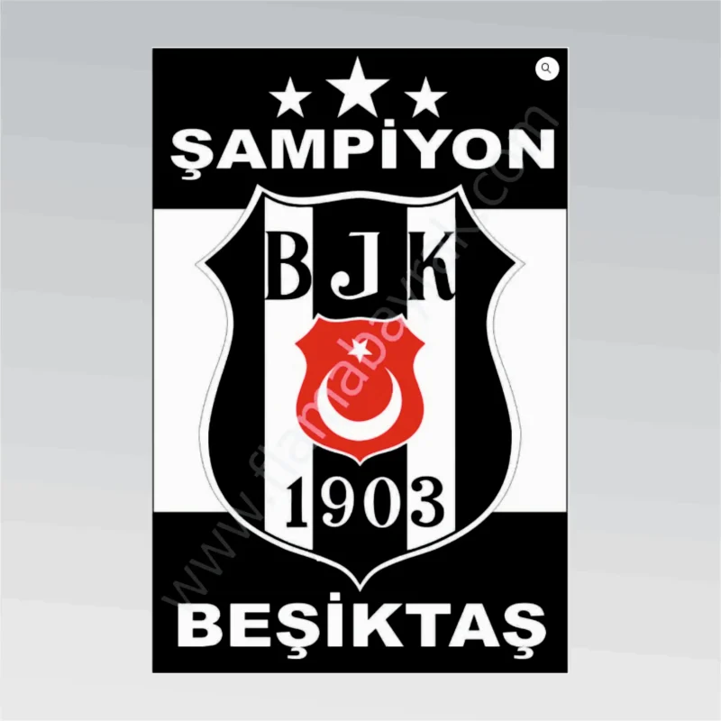 Beşiktaş No 6