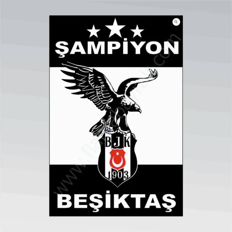 Beşiktaş No 8