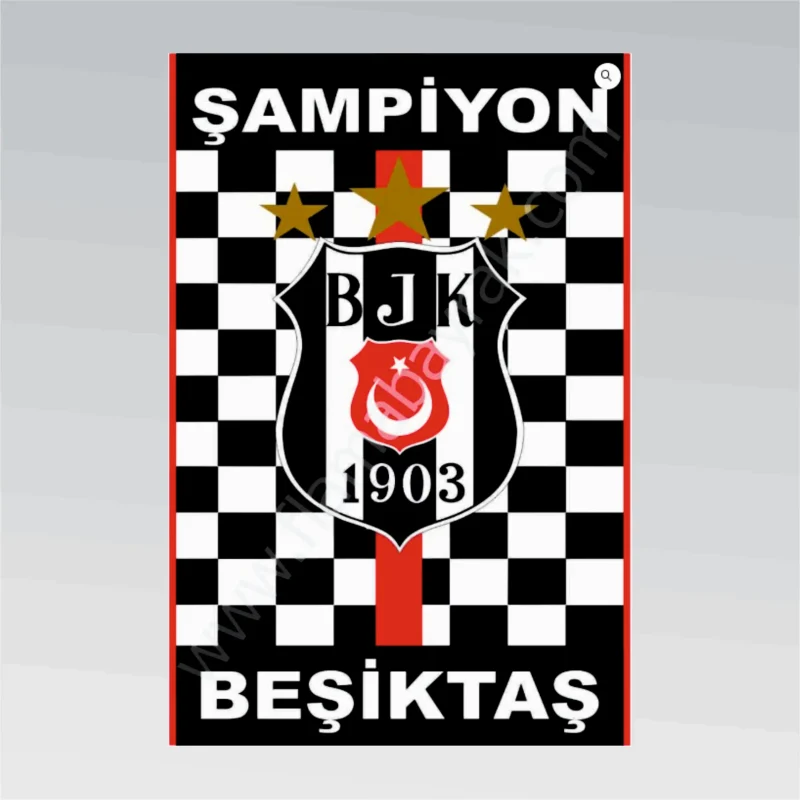 Beşiktaş No 9